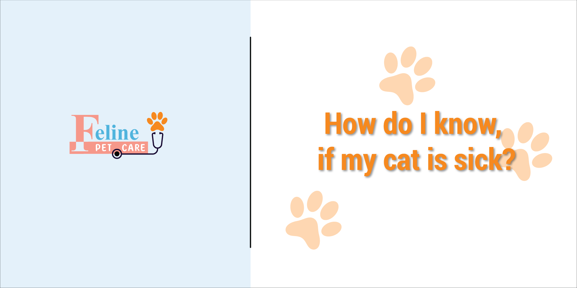 How do i know if my cat is sick?
