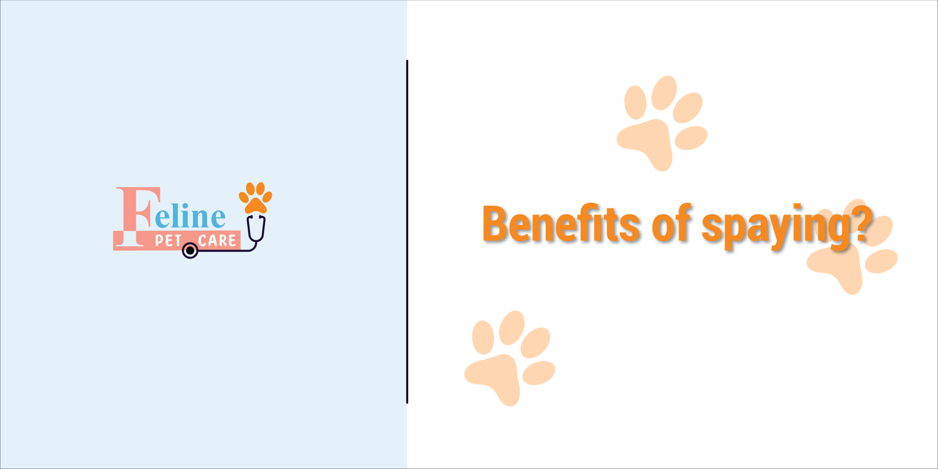 Benifit of spaying?